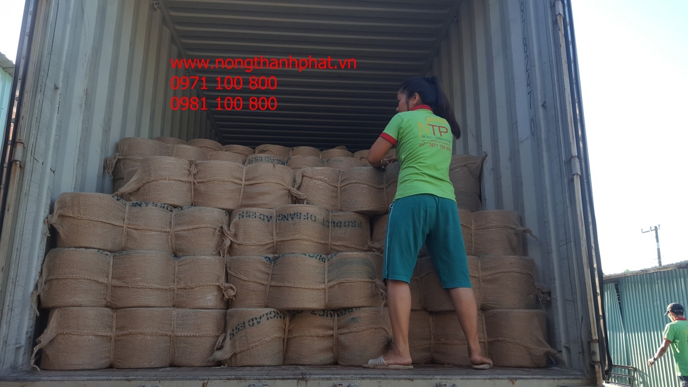 Dây cuốn rơm C3 đã có hàng
