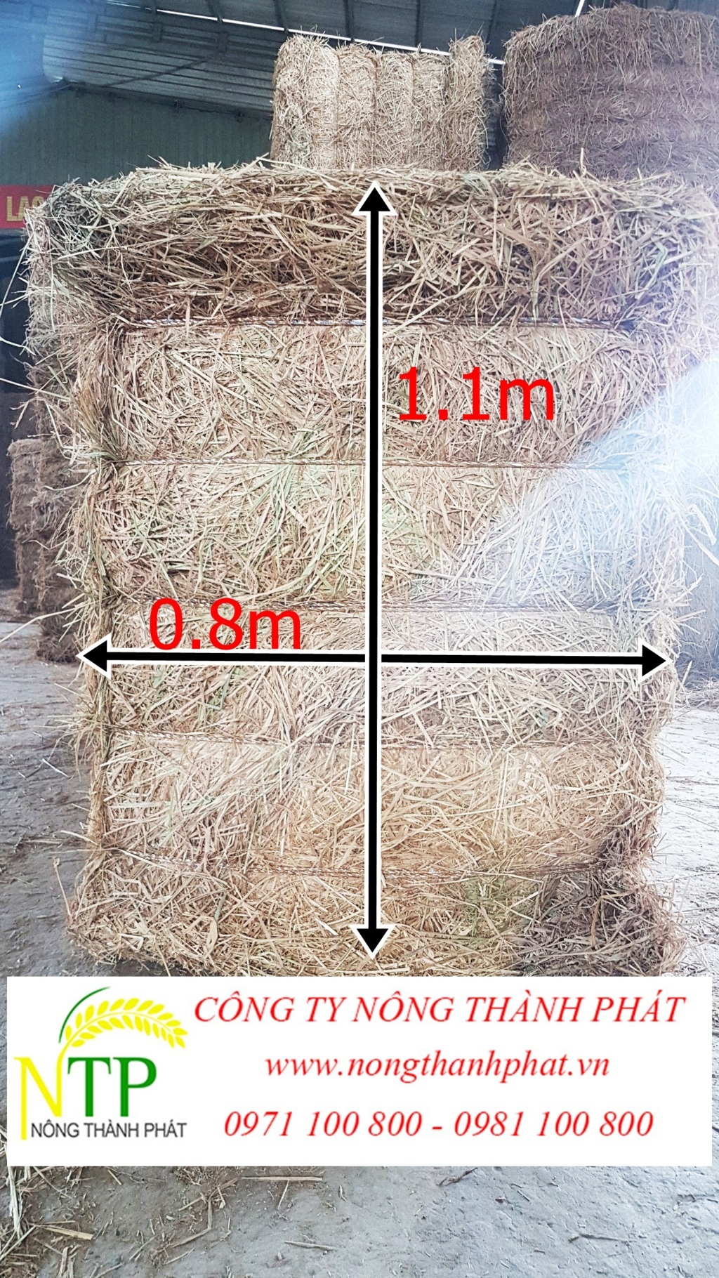 Cung cấp rơm kiện vuông