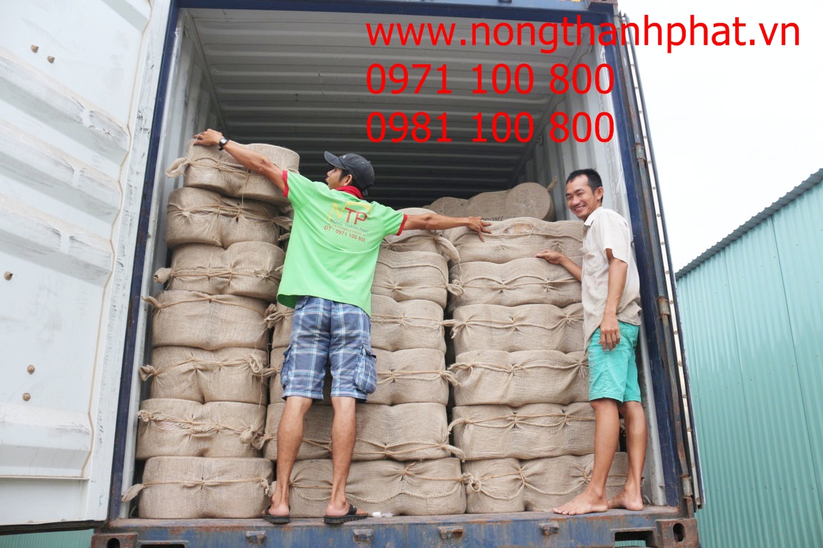 Dây cuốn rơm C2 đã có hàng