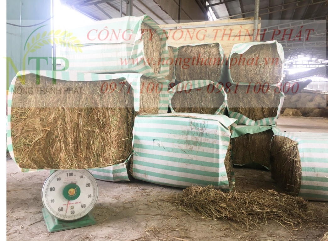 Rơm khô đóng kiện 50kg