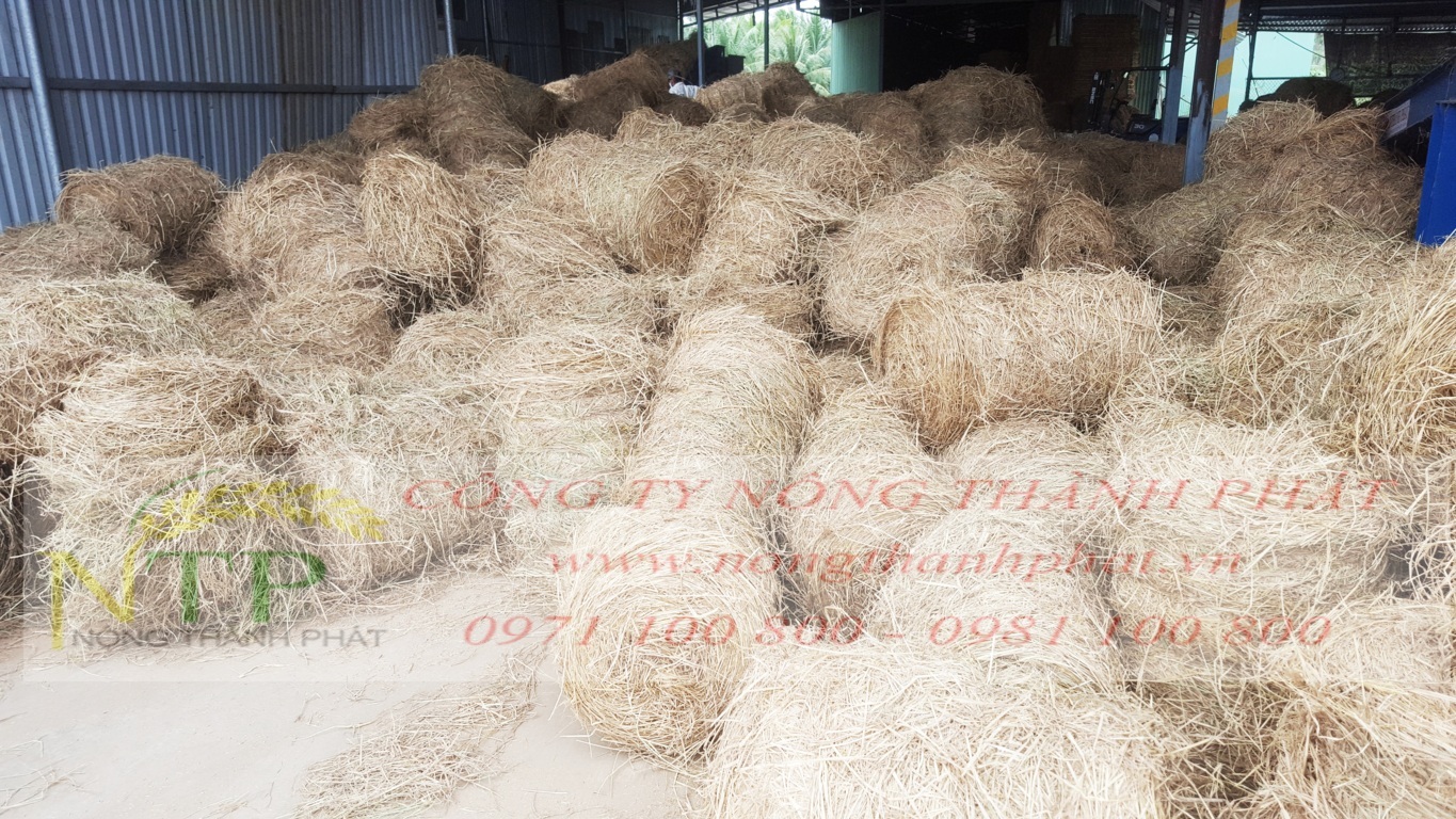 Rơm cuộn 50cmx70cm