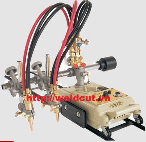 Cách bảo dưỡng rùa cắt hơi