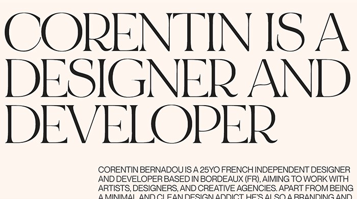 16_vi_du_ve_typography_co_chu_trong_thiet_ke_trang_web_3dkid