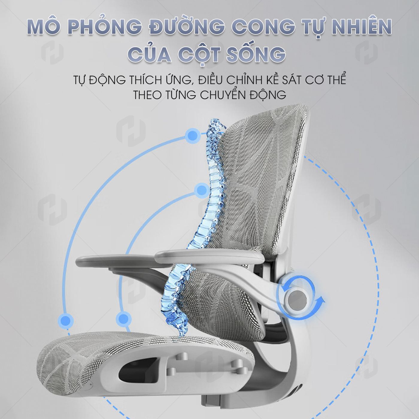 Ghế công thái học HTD-927