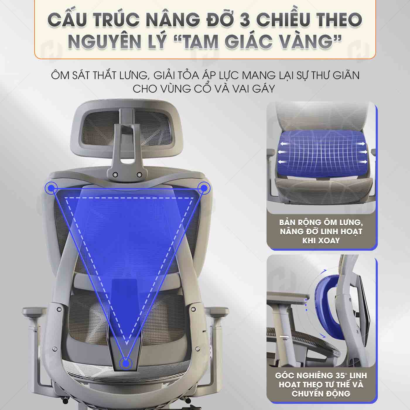 Ghế Văn Phòng Ergonomic 919