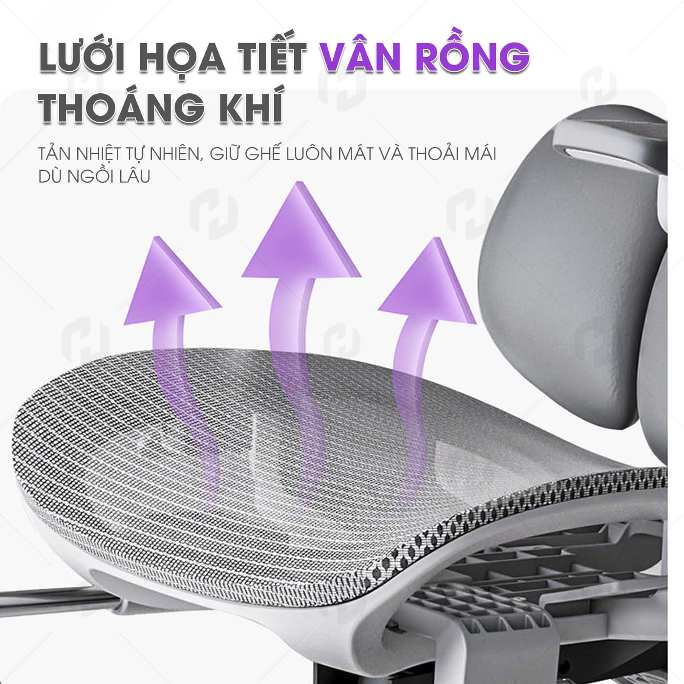 ghế công thái học HTD-X360