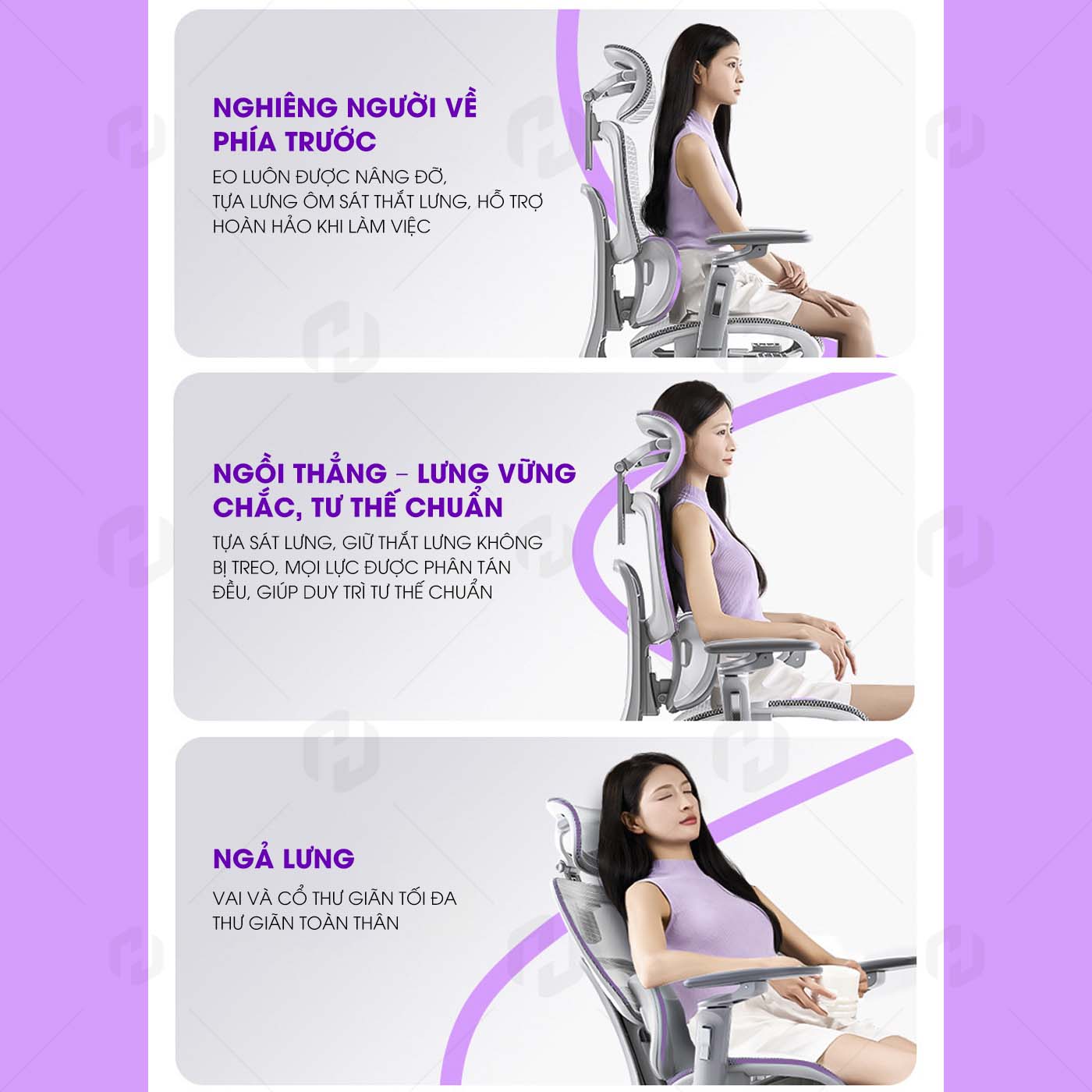 ghế công thái học HTD-X360