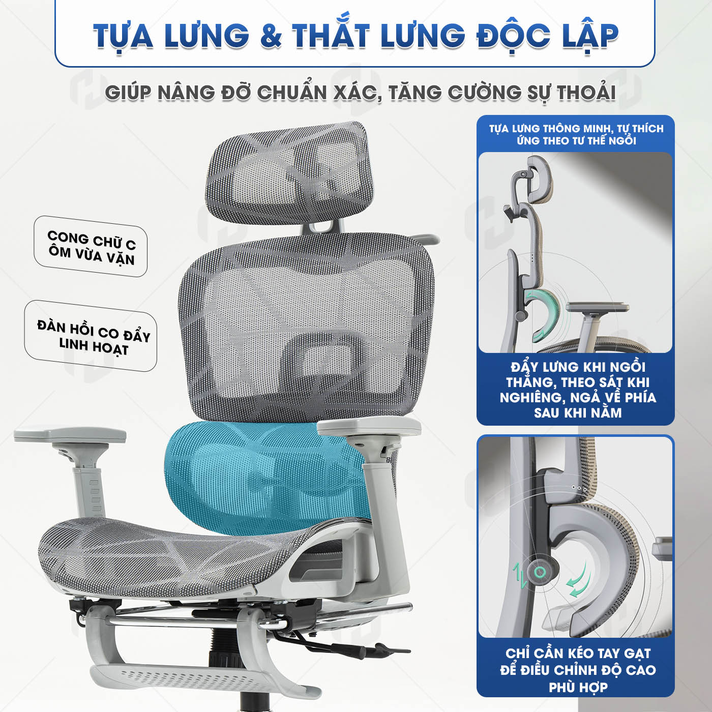 Ghế công thái học LS-900