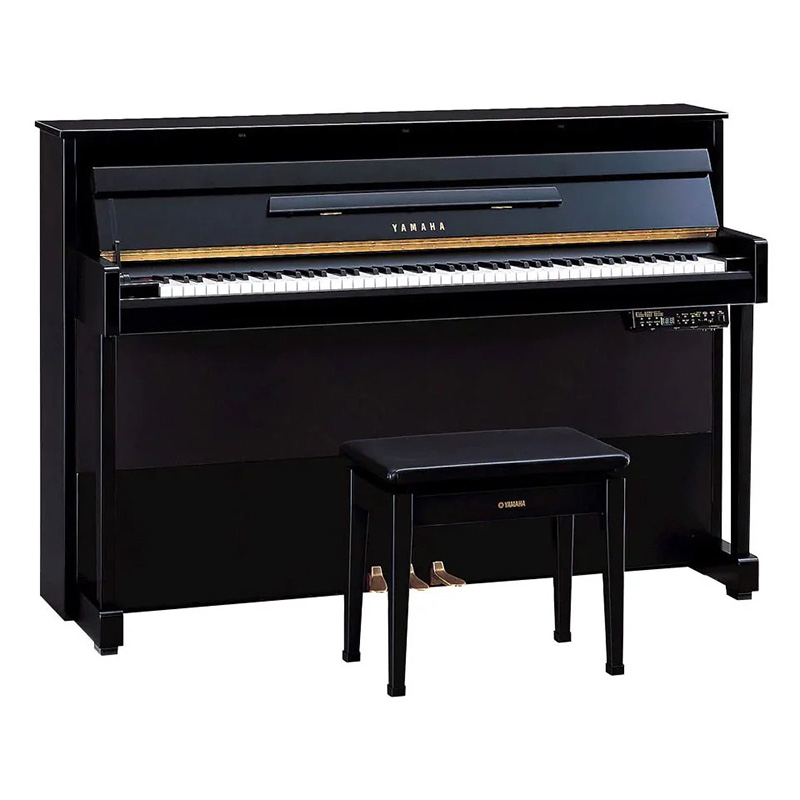 Đàn Piano Điện Yamaha DUP20 PE