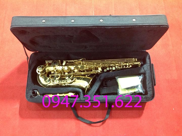 Kèn Saxophone Alto Condor CAS568 EX