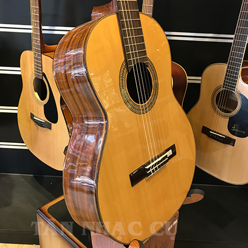 Đàn Guitar Classic Ba Đờn C550 Điệp