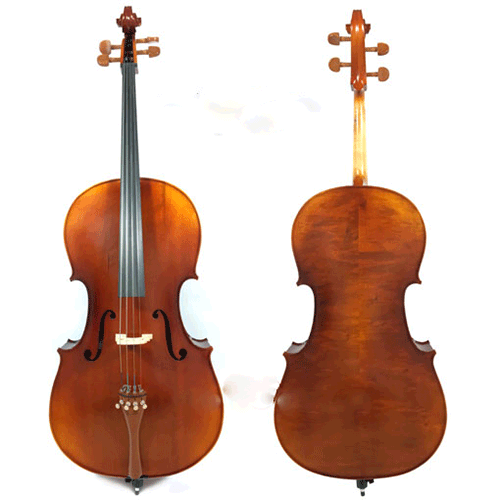 Đàn Cello Scott & Guan 140
