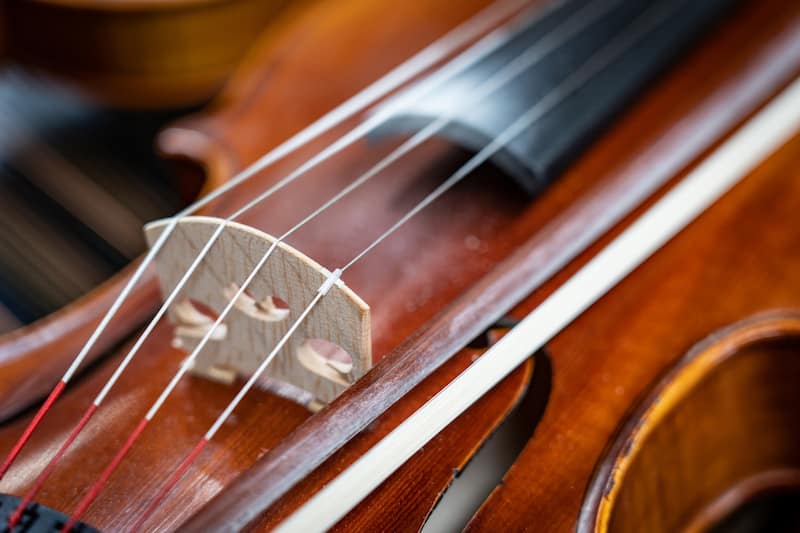 Dây Đàn Violin Strings