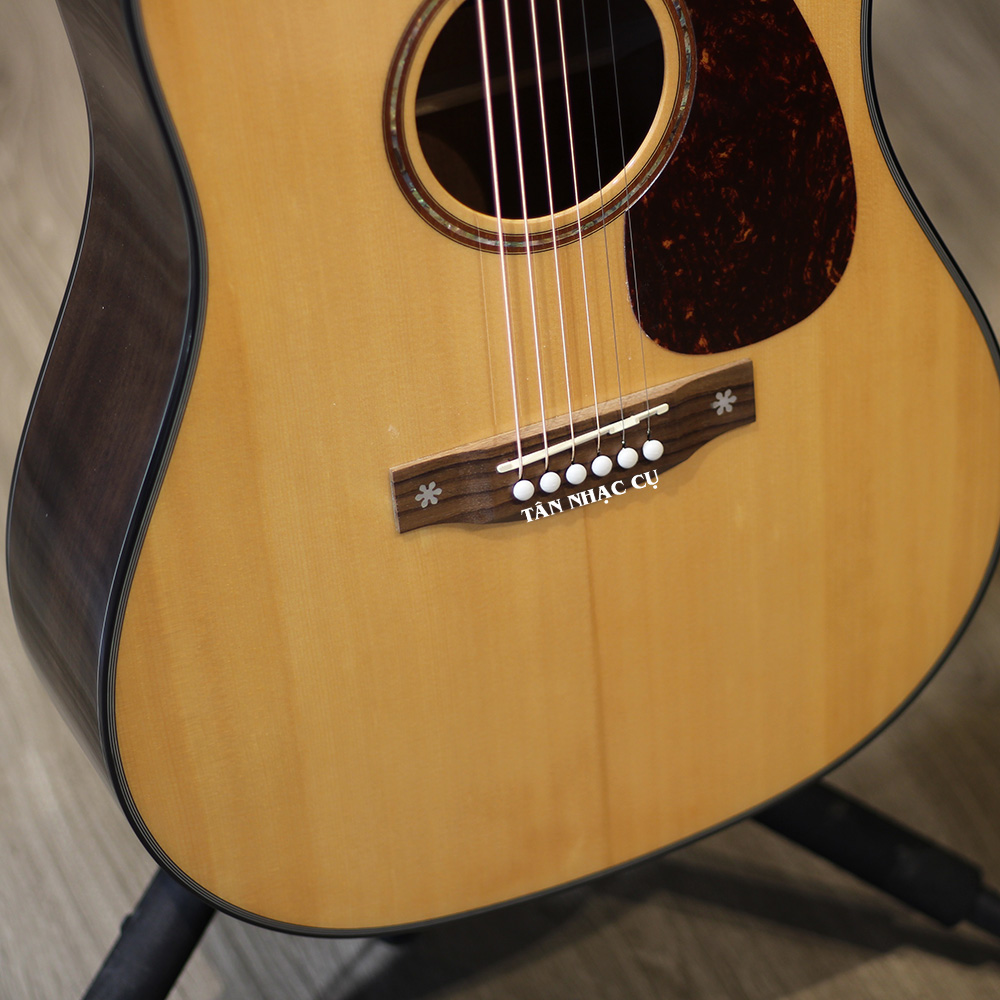 Đàn Guitar Saga SF830 Acoustic