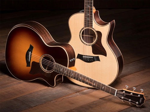 Taylor 800 Series