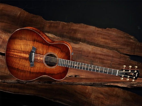 Taylor Koa Series