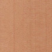 Tuyết Tùng (cedar)