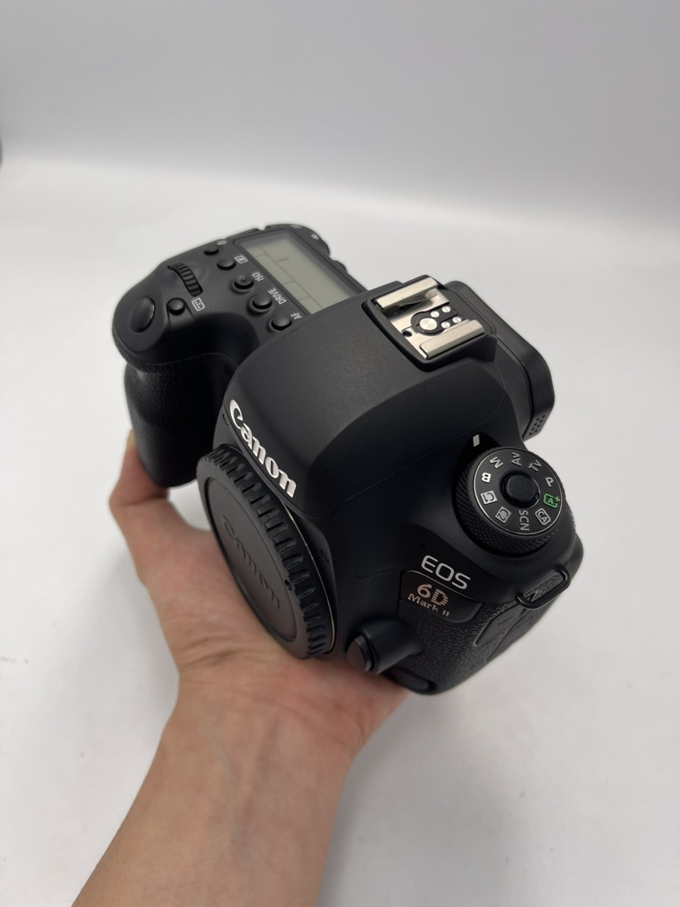 Canon EOS 6D2 (Đồ cũ)