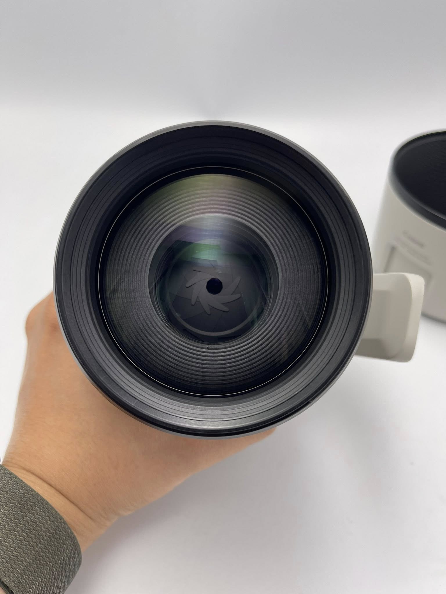 Canon RF 70-200mm F2.8L IS USM