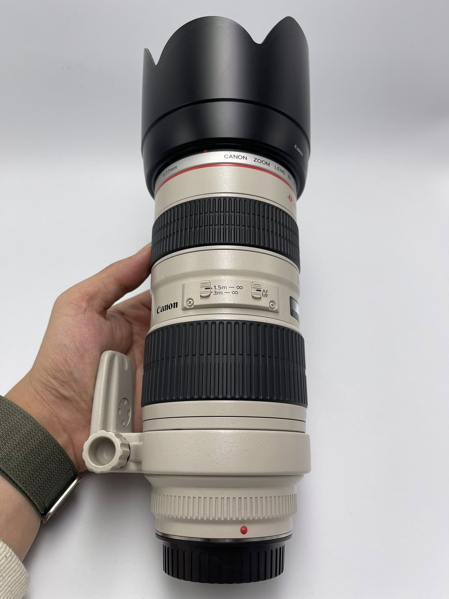 Canon EF 70-200mm F2.8L USM