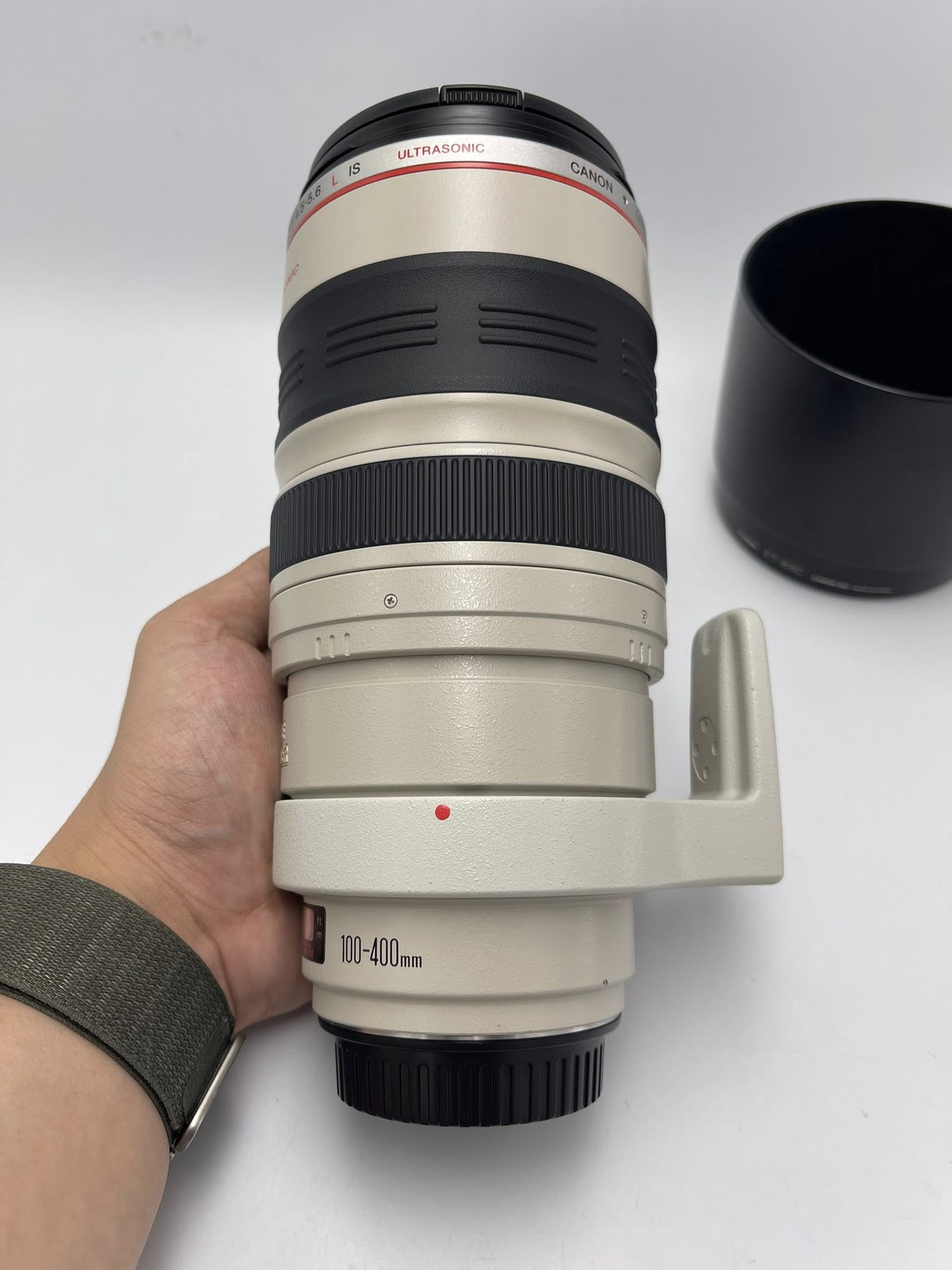 Canon EF 100-400mm F4.5-5.6L IS