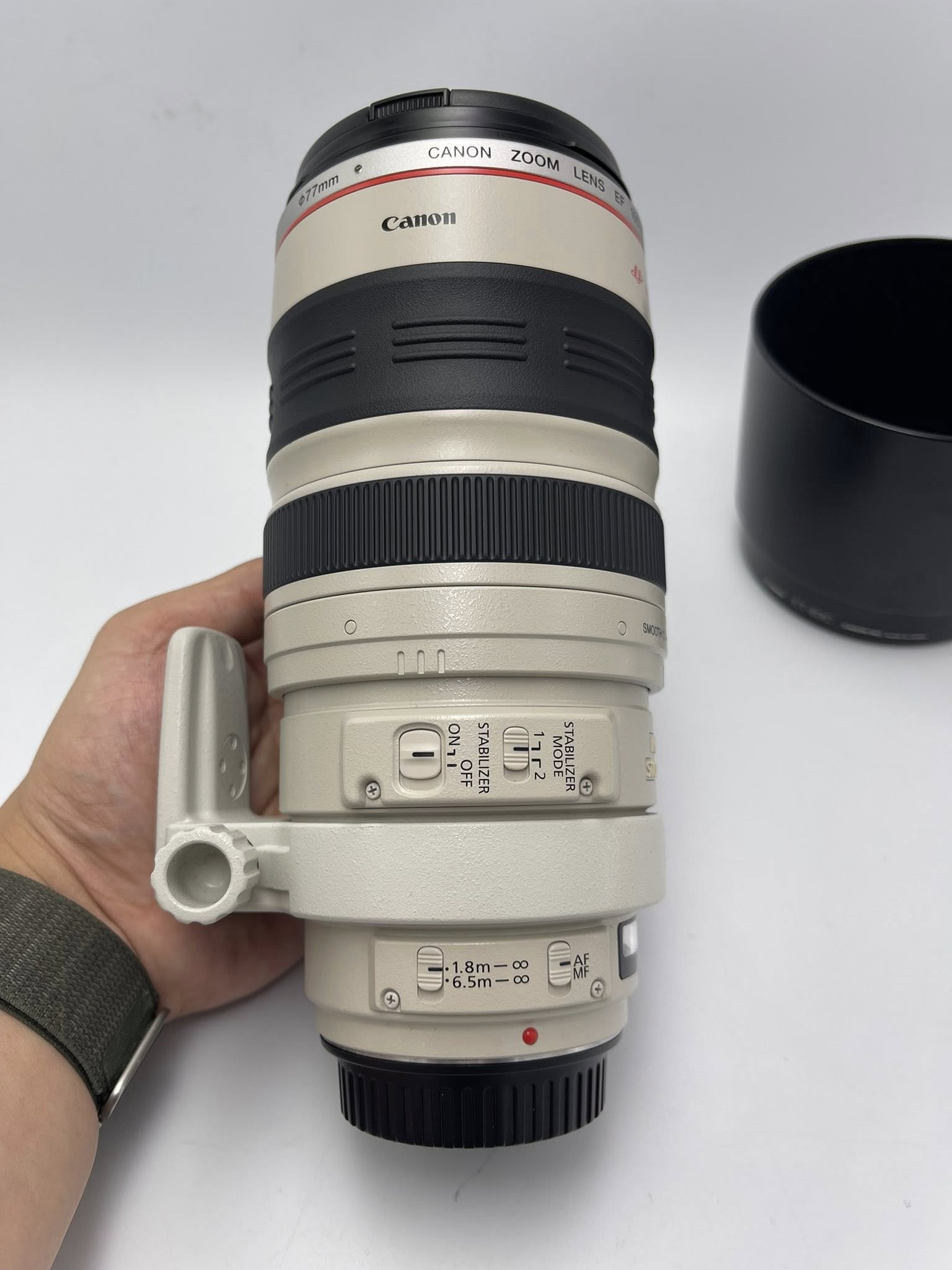 Canon EF 100-400mm F4.5-5.6L IS