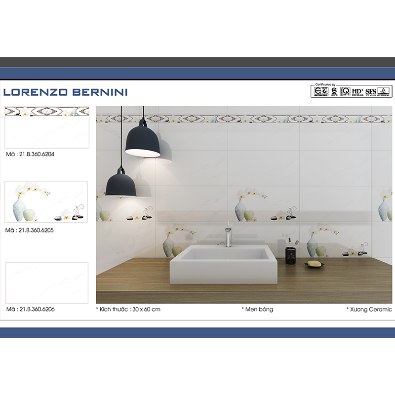 21.B.360.6201-6202-6203