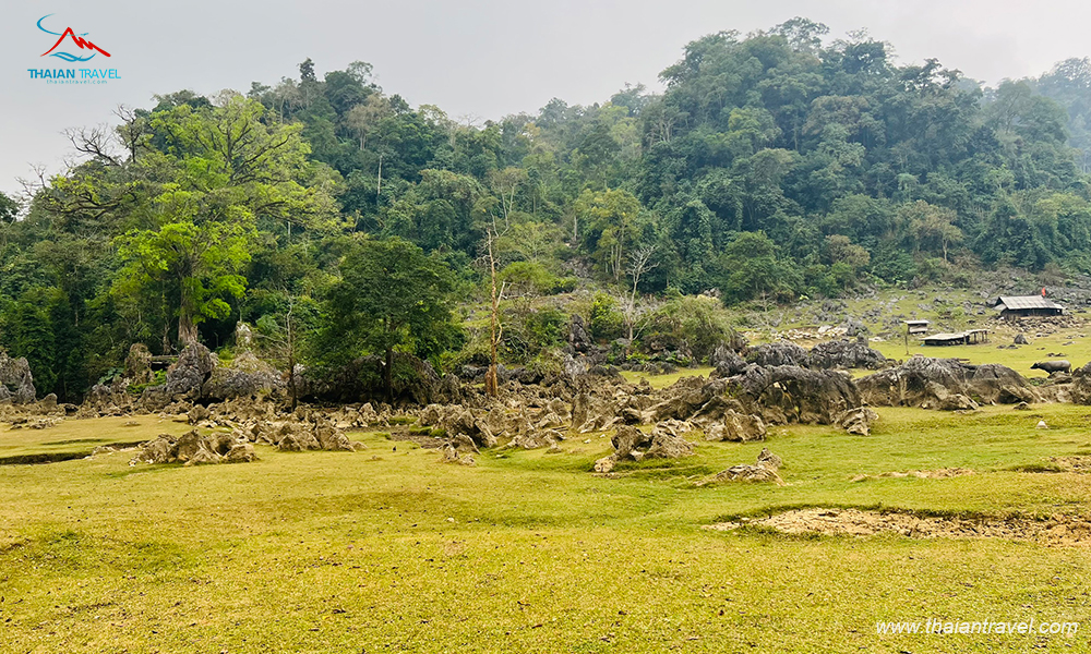 du-lich-hang-tau-kham-pha-lang-nguyen-thuy-nguoi-h-mong-o-moc-chau