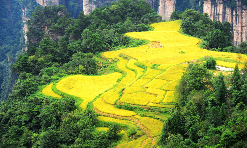 nui-thien-tu-thang-canh-dep-nhat-truong-gia-gioi