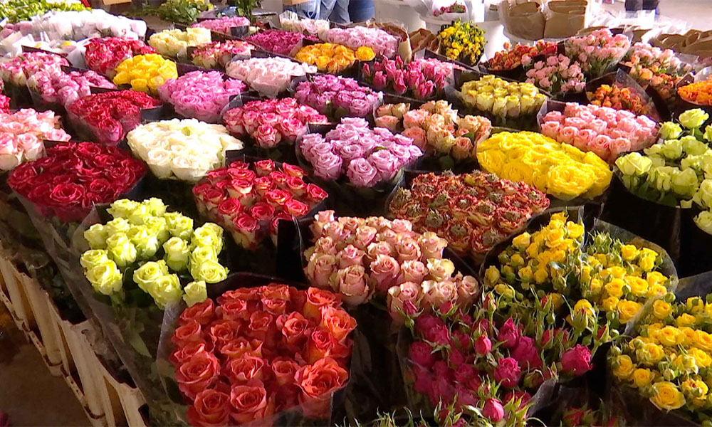 Chợ hoa Đấu Nam - Thủ phủ hoa tươi của châu Á ở Côn Minh, Trung Quốc