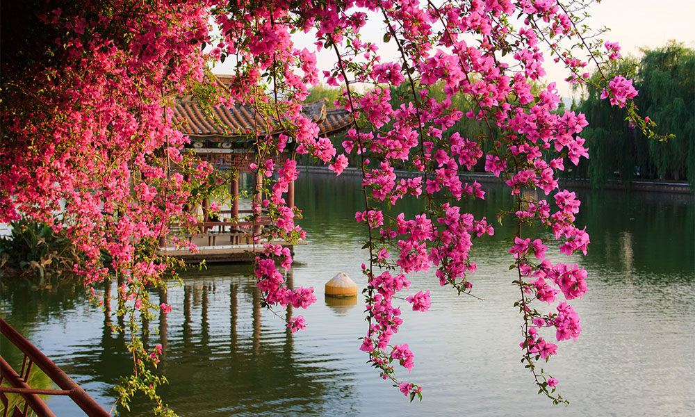 Hồ nước Green Lake Côn Minh – Viên ngọc bích của Côn Minh