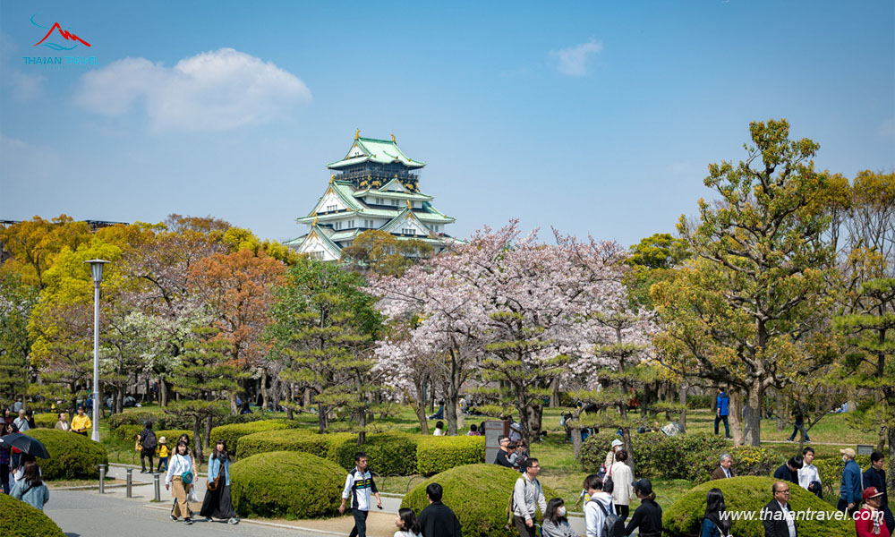 Cung đường vàng ngắm hoa anh đào Nhật Bản : TOKYO - OSAKA - KYOTO - NÚI PHÚ SĨ