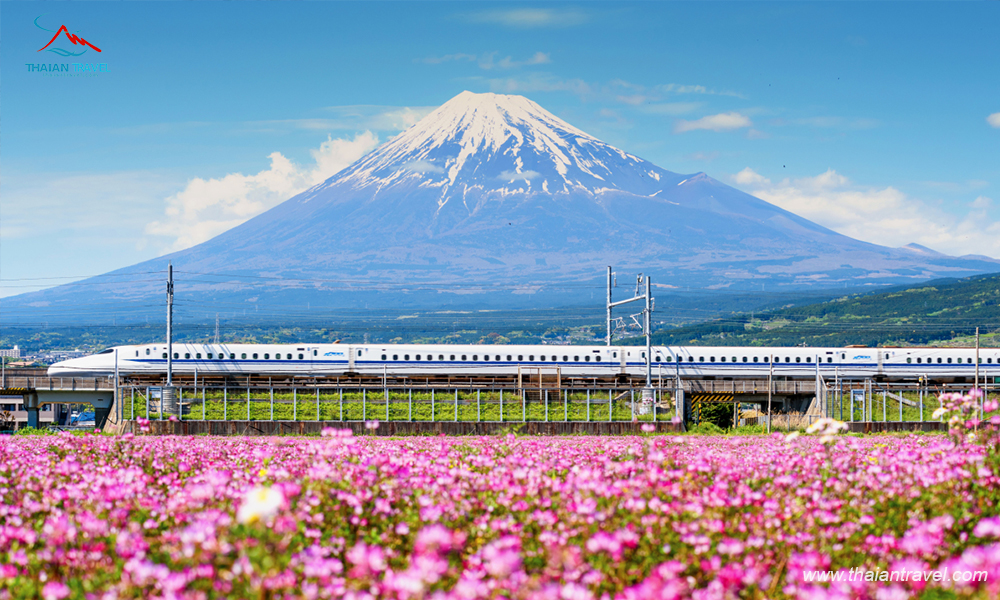 Những trải nghiệm du lịch Nhật Bản chắc chắn không thể bỏ qua
