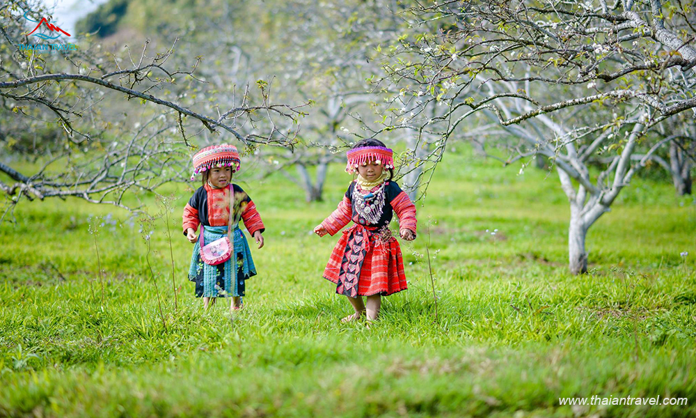 thung-lung-man-na-ka-moc-chau-rung-man-mong-mo-tren-cao-nguyen