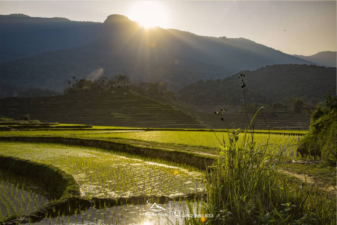 Top 5 khu nghỉ dưỡng tại Pù Luông - Tiểu BaLi Miền Bắc rất gần Hà Nội