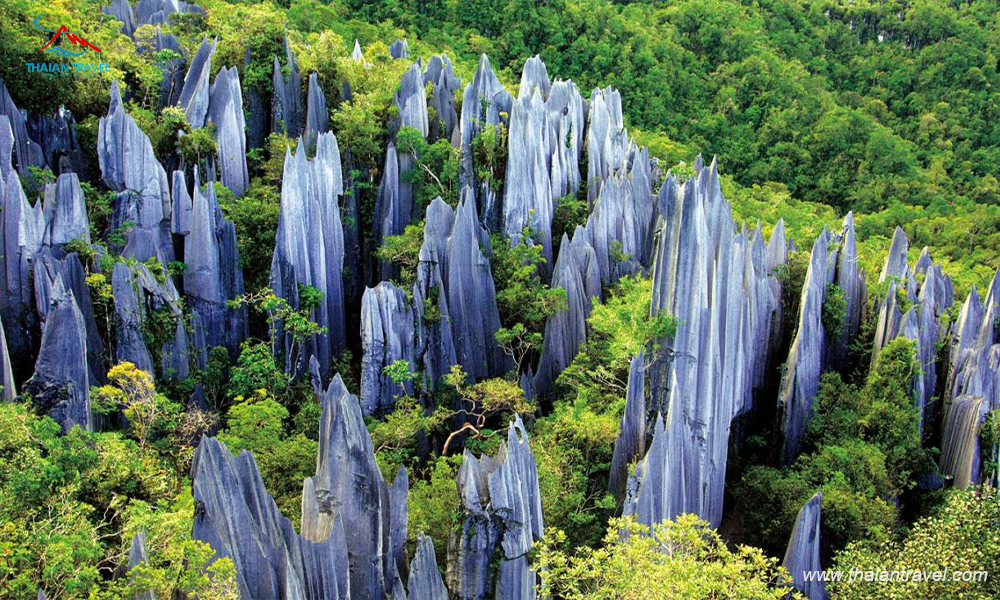 kham-pha-rung-da-thach-lam-trung-quoc-chiem-nguong-canh-tien