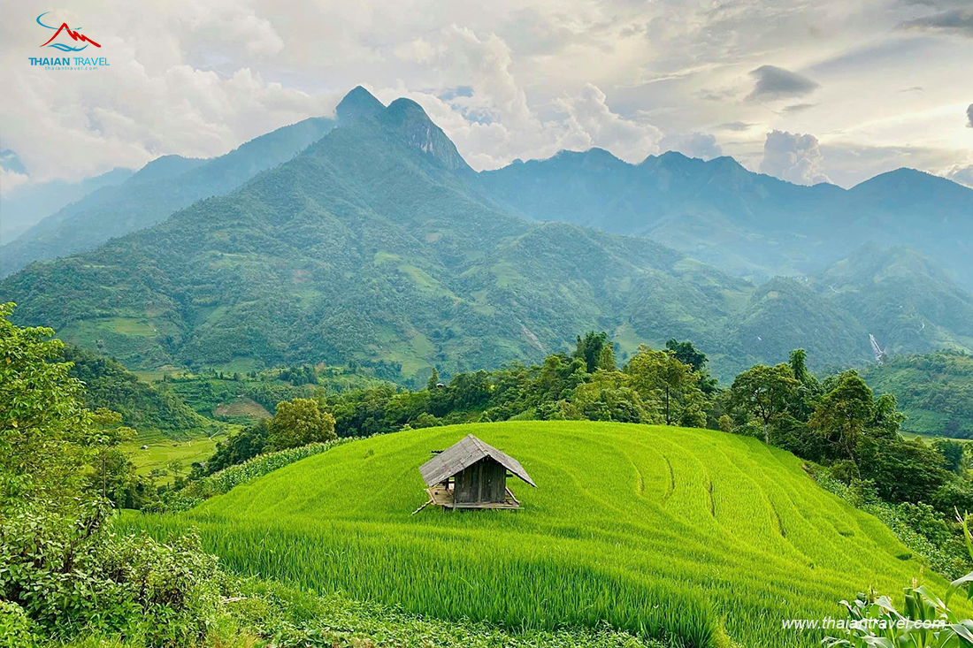 Du lịch Sapa - Tất tần tật kinh nghiệm du lịch Sapa chi tiết nhất