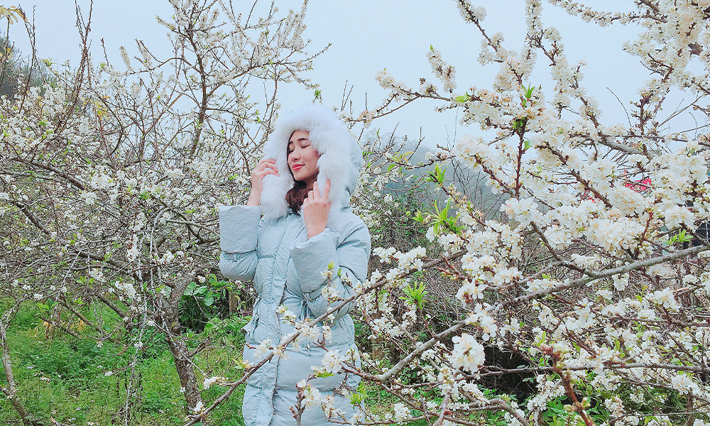 Địa điểm chụp ảnh hoa mận ở Mộc Châu siêu hấp dẫn Địa điểm chụp ảnh hoa mận ở Mộc Châu siêu hấp dẫn