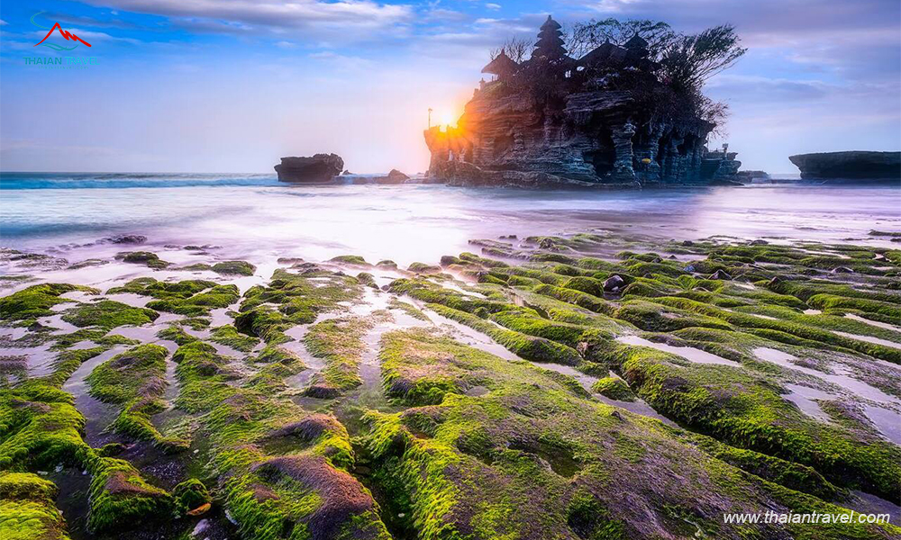 Đền Tanah Lot - Ngôi Đền Linh Thiêng ở Bali bên bờ Ấn Độ Dương - THÁI AN TRAVEL Đền Tanah Lot - Ngôi Đền Linh Thiêng ở Bali bên bờ Ấn Độ Dương - THÁI AN TRAVEL