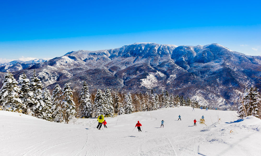 Khu trượt tuyết Fujiten - khu trượt tuyết đẹp nhất châu Á - THÁI AN TRAVEL