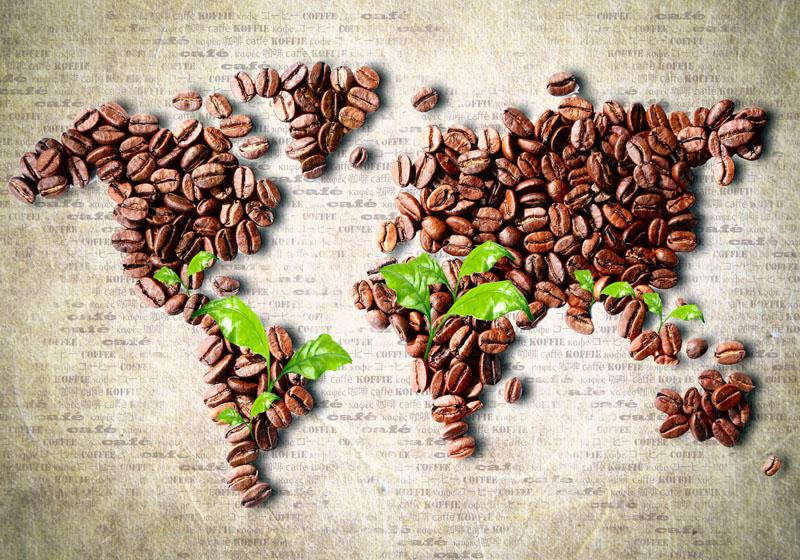 tranh dán tường cho quán coffee hình bản đồ thế giới