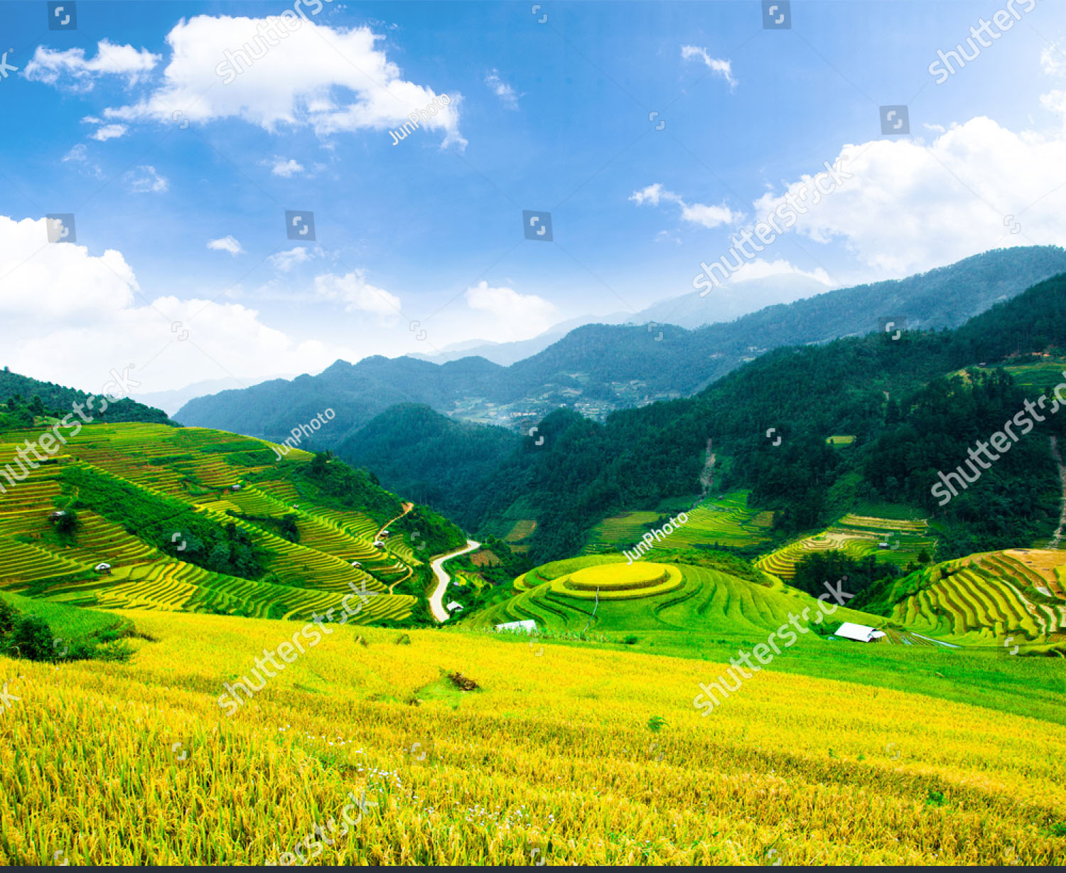 tranh-ruong-bac-thang-lao-cai-sapa-