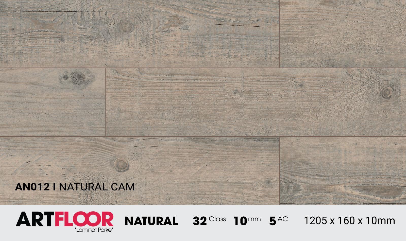 Sàn gỗ ART 10mm