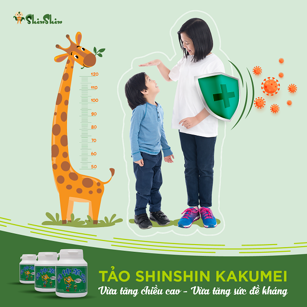 Các dưỡng chất của sữa kết hợp với dưỡng chất từ tảo tăng chiều cao Shinshin sẽ giúp thúc đẩy chiều cao của bé nhanh hơn. 