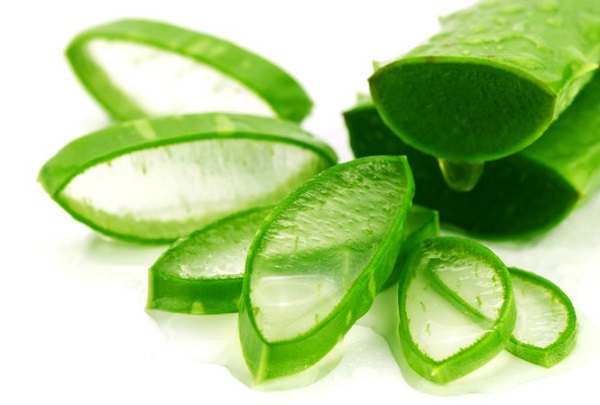 Trị nám tại nhà bằng nha đam cũng rất dễ thực hiện. 