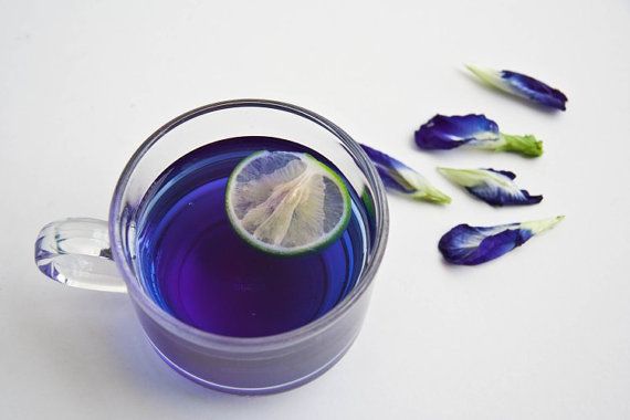Công dụng của trà hoa đậu biếc