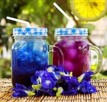 Video clip hướng dẫn pha trà hoa đậu biếc