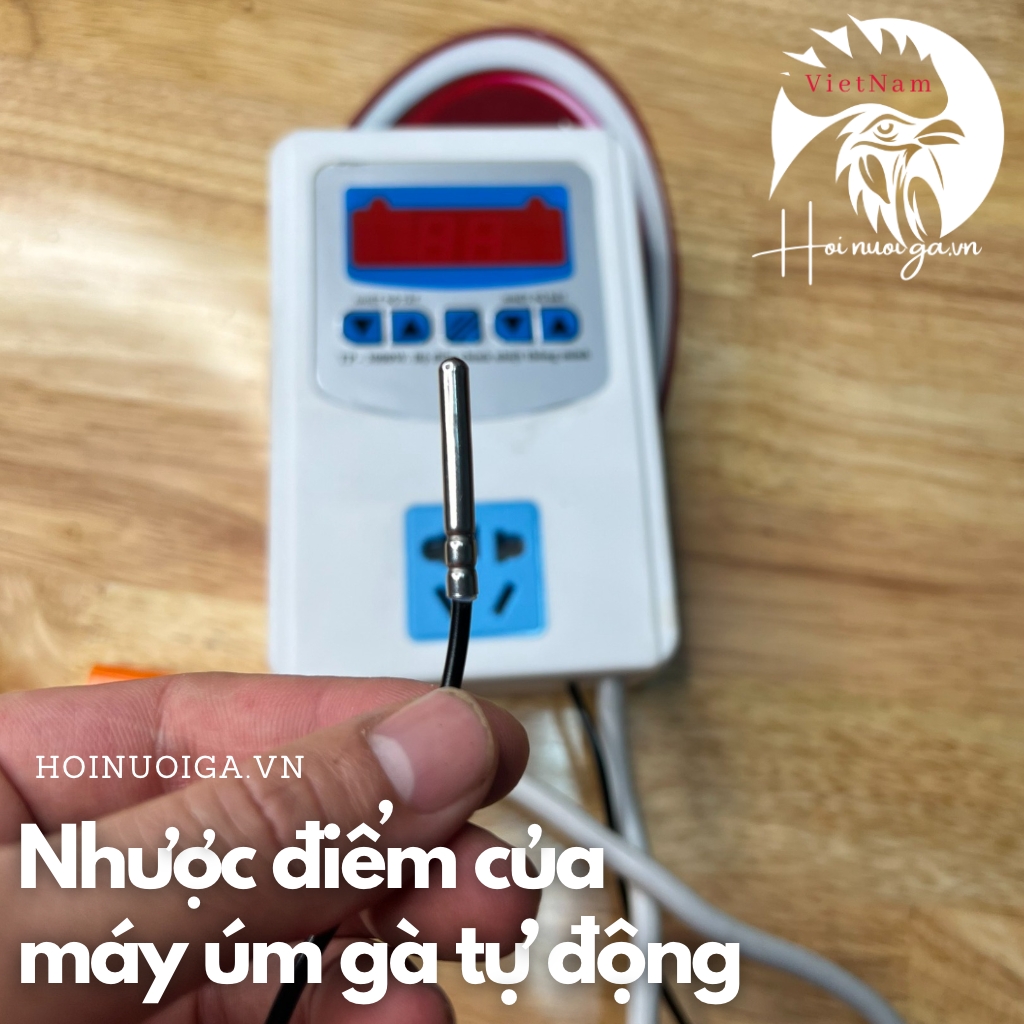 máy úm gà tự động là máy gì