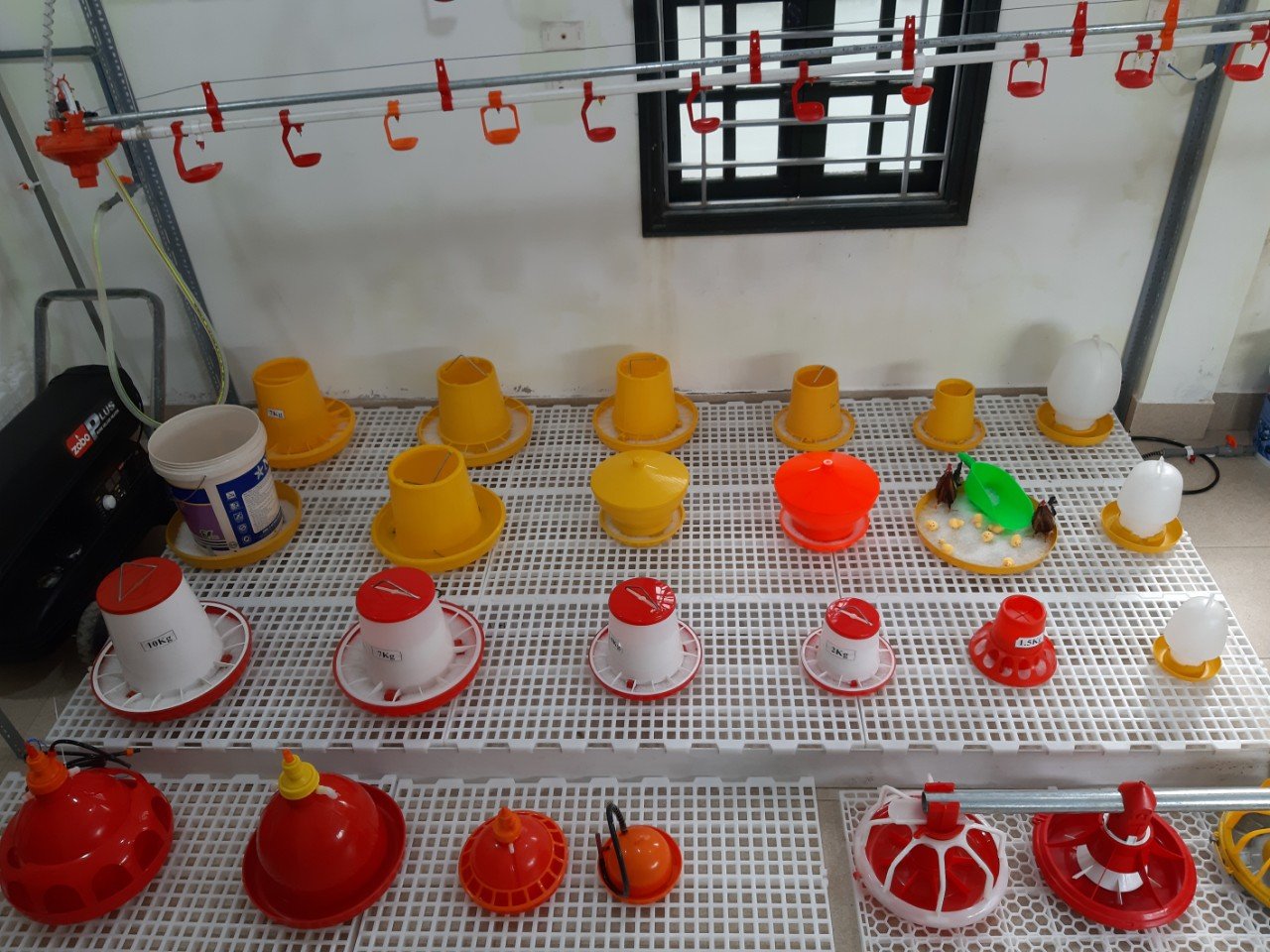 Dụng cụ sử dụng cho vật nuôi Công nghệ 11, Dụng cụ sử dụng cho vật nuôi