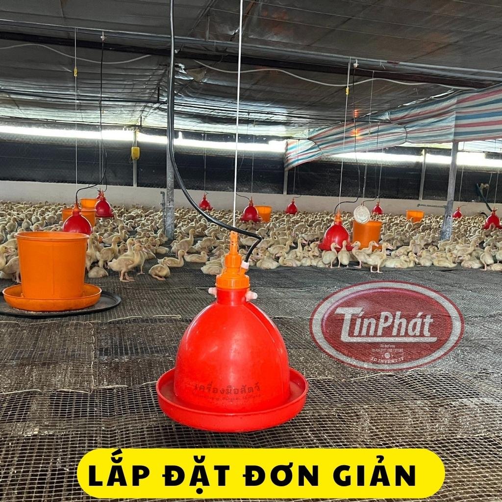 Máng uống nước tự đông cho gà Giải pháp tiện lợi và hiệu quả trong nuôi gà công nghiệp